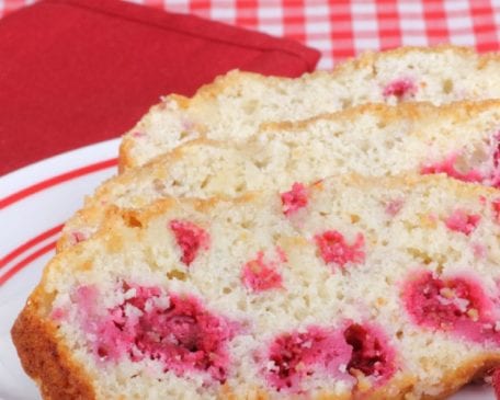 Cranberry Cake Square