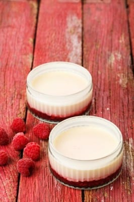 Raspberry Lemon Possets - Snowcrest Foods British Columbia